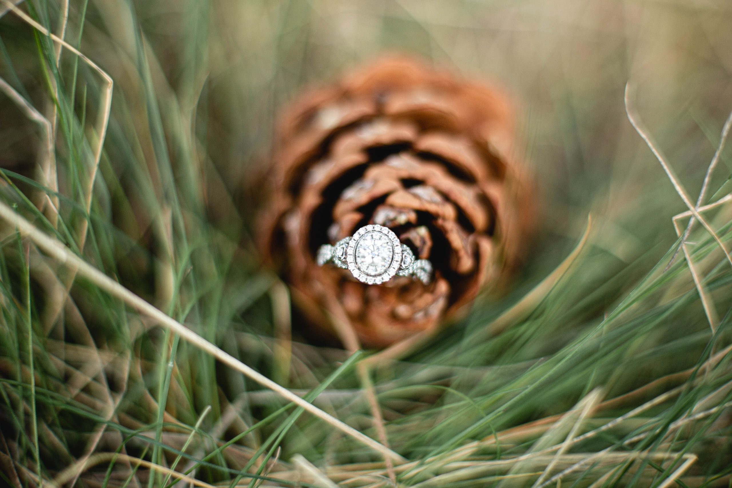 Engagement ring on a pine cone